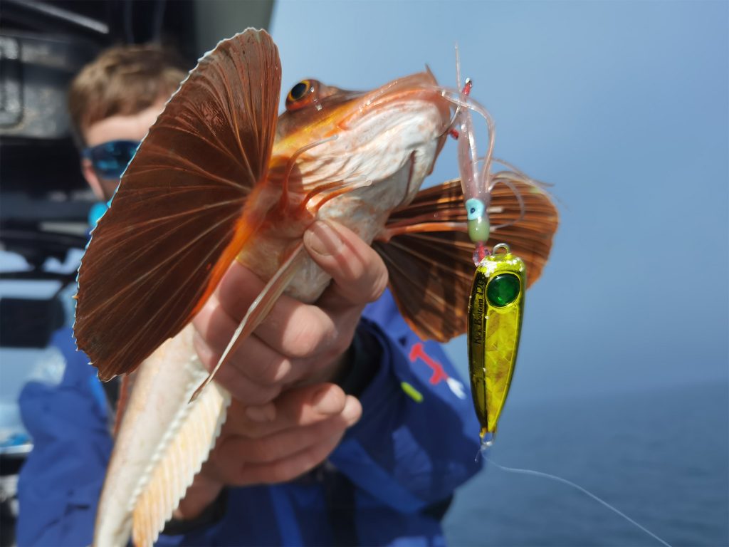 Hayabusa fishing image