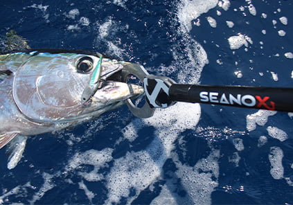 materiel peche mer amiaud