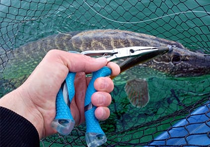 game cuda accessoire de pêche